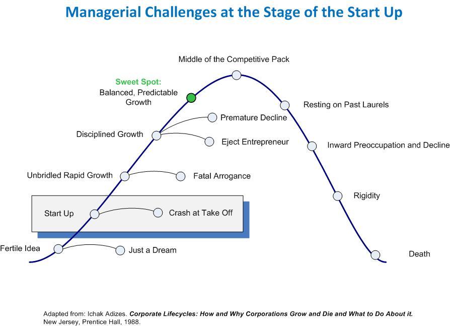 Start Up Stage of the Business Maturity Life Cycle